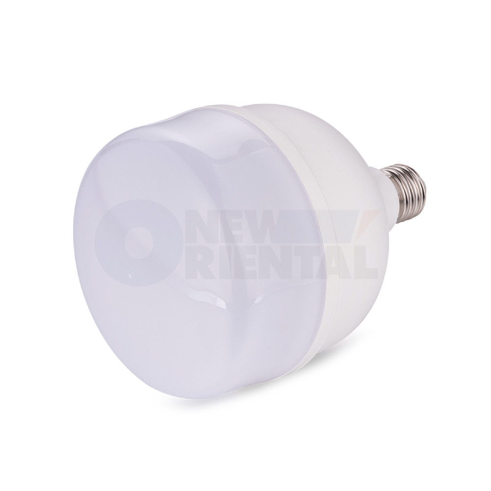T-BULB-1