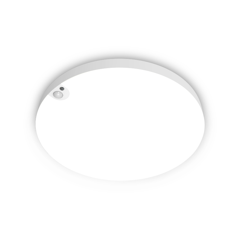 LED CEILING LIGHT